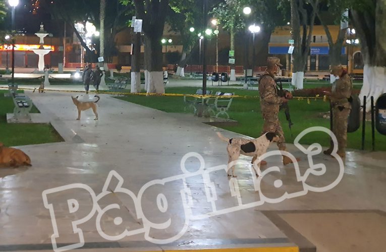 Propondrán que el miércoles también sea de inmovilización total