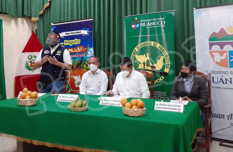 Con asistencia técnica buscan mejorar calidad de palta, granadilla y té verde