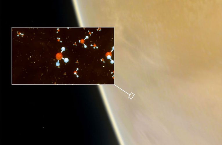 Nature Astronomy: Hallan biomarcadores de posible existencia de vida en Venus