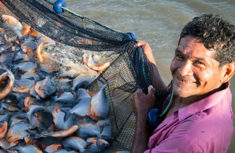 Asignan más de S/ 1 millón para mejorar producción de peces