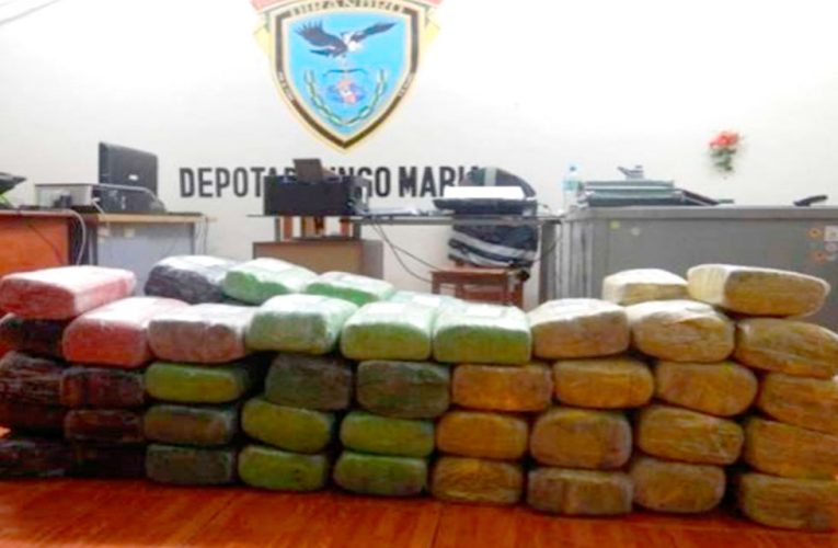 Hallan 162 kilos de marihuana en Huanipampa