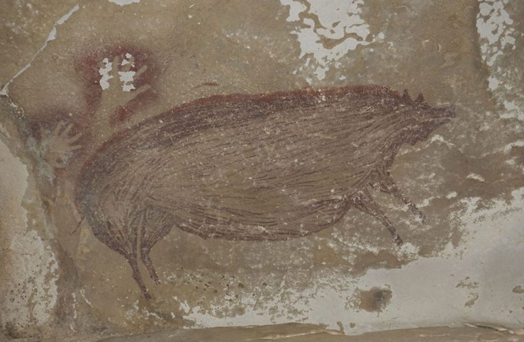 La pintura rupestre más antigua tiene 45 500 años