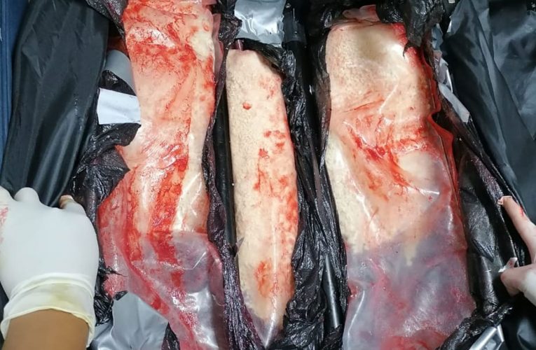 En maletas trasladaban más de 9 kilos de droga