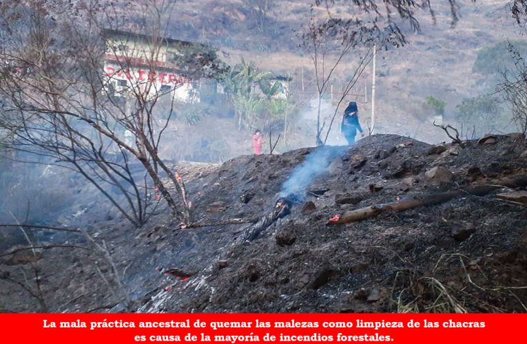 Más de diez incendios forestales se registraron entre julio y agosto