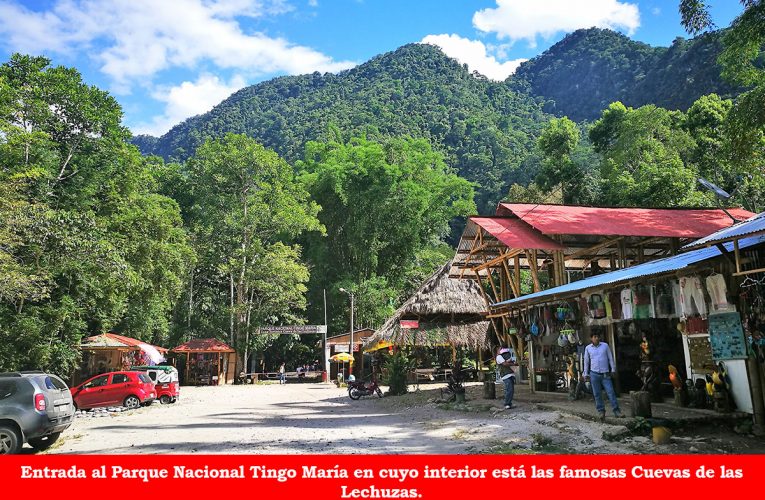 Parque Nacional Tingo María en lista de destinos turísticos  más sostenibles del mundo