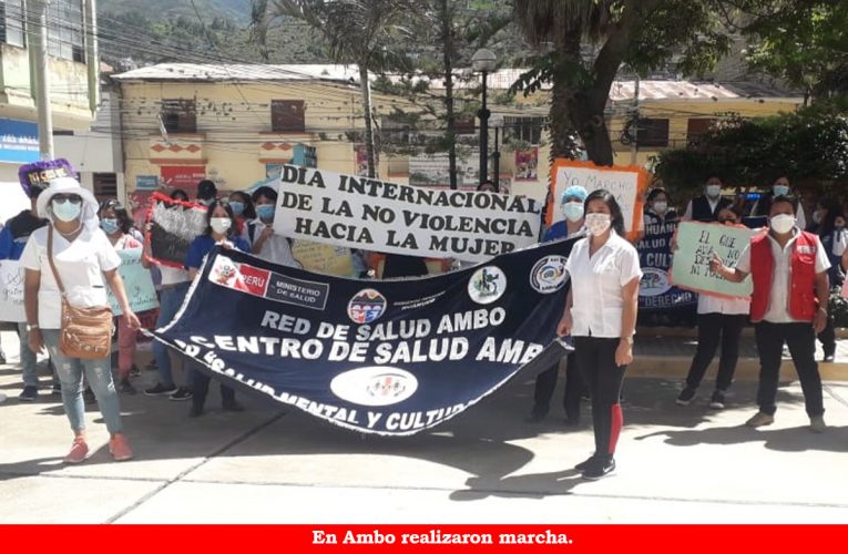 Reclaman creación de dos CEM en Ambo