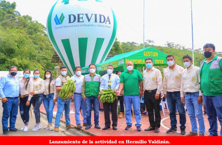 Destinan 800 mil soles para aumentar la producción del banano