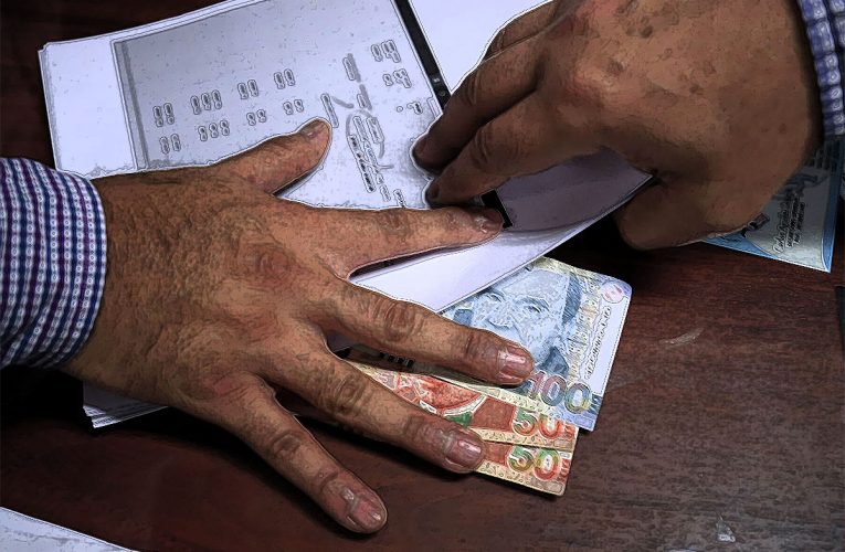 Entre la captura institucional y el modelo económico: reflexiones sobre el artículo del profesor Aldo Reyes
