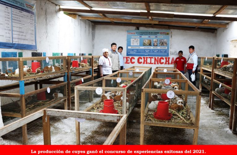 Ejecutan 63 proyectos productivos en Huánuco