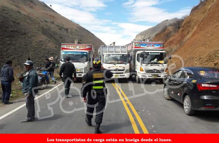 Este lunes transportistas de Huánuco acatan paro