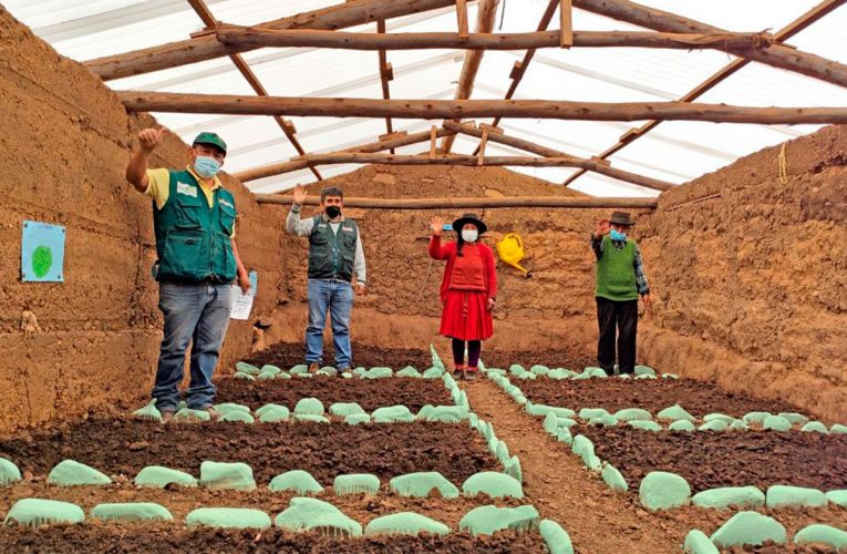 Instalan fitotoldos para mejorar resistencia de cultivos en Huánuco y Pachitea
