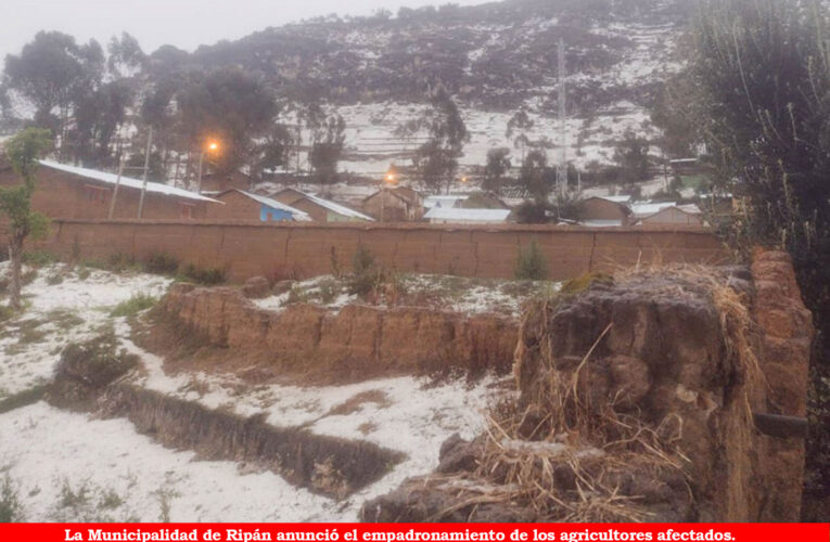 Granizada afecta cultivos de panllevar en Dos de Mayo