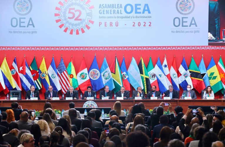 Misión de la OEA llega mañana para evaluar situación de país