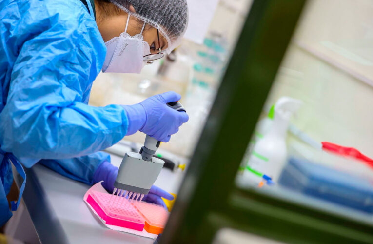 INS detecta presencia de linaje XBB.1.5 de la variante ómicron
