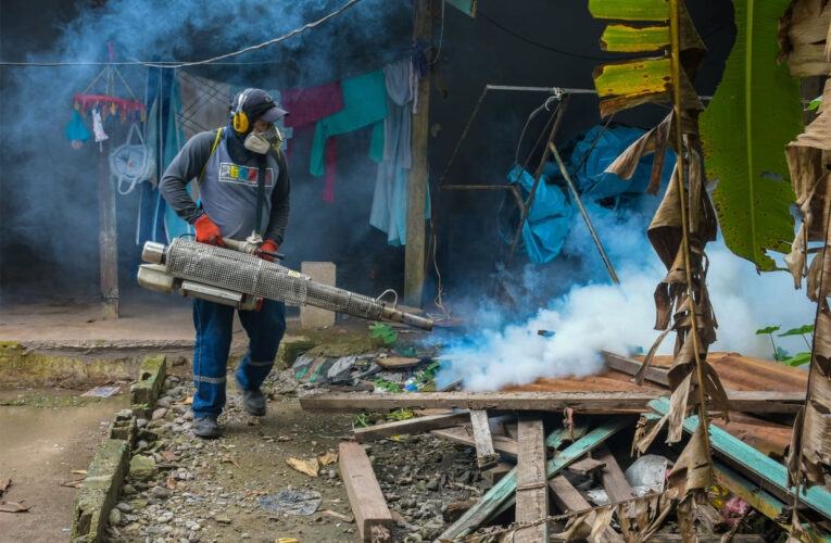 ¡Atención! Minsa emite alerta epidemiológica por incremento de casos de dengue en el país