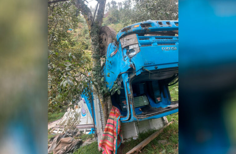 Camionero muere al despistarse y volcar en tramo Huanin-La Punta