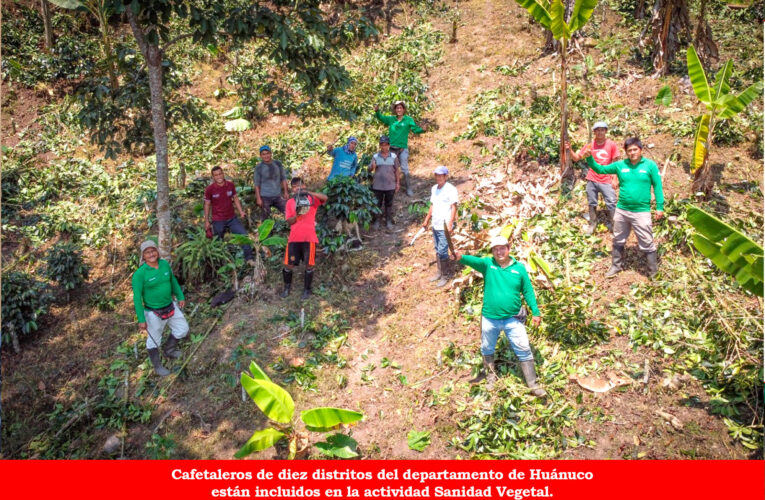 Con asistencia técnica buscan reducir daños por plagas  en cultivos de cacao y café