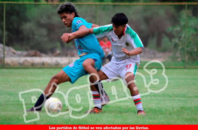 Amarilis, Huánuco y Pillco Marca no jugaron
