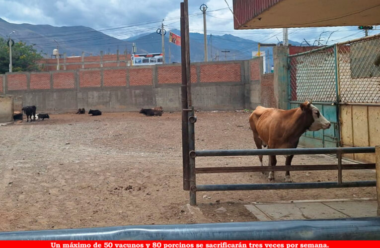 Camal reducirá faenado de ganados para  evitar nuevos colapsos