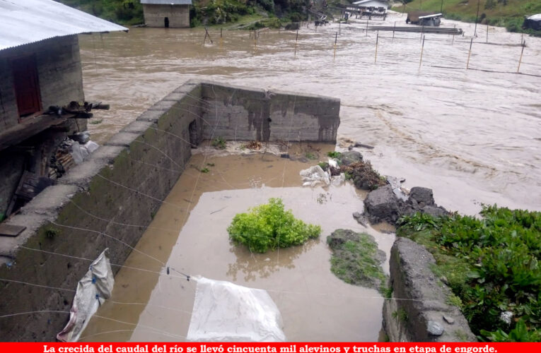 Comuneros construyeron  piscigranja de trucha en  cauce del río en Jacas Grande