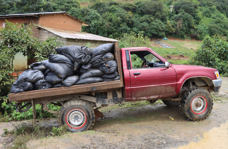 Incautan 600 costales de musgo en Pillao