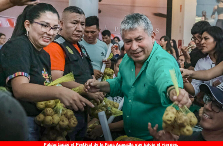 Elaborarán la papa rellena más grande del mundo