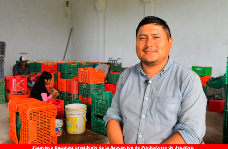 Municipalidad de Leoncio Prado no prioriza hasta ahora proyecto de jengibre