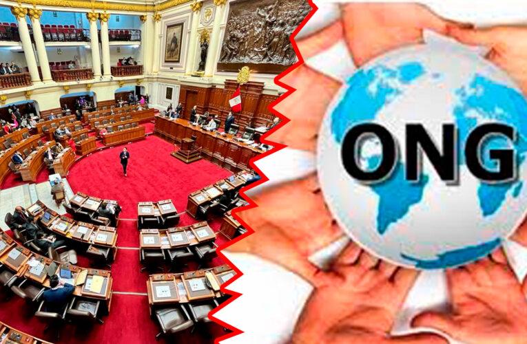 Luego vinieron por las ONG