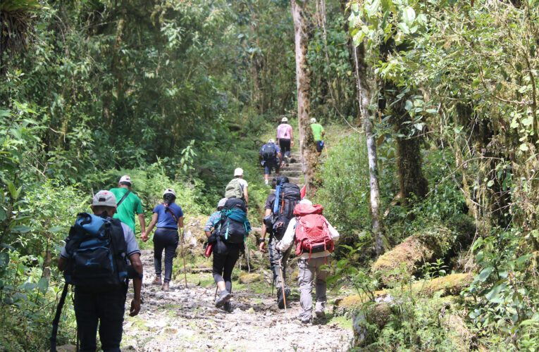 Camino de Colonos y Arrieros, ¡500 años después!