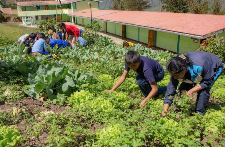 Escolares producen verduras y frutas