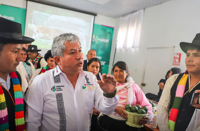 Pulgar califica con 15 el mensaje de Dina Boluarte