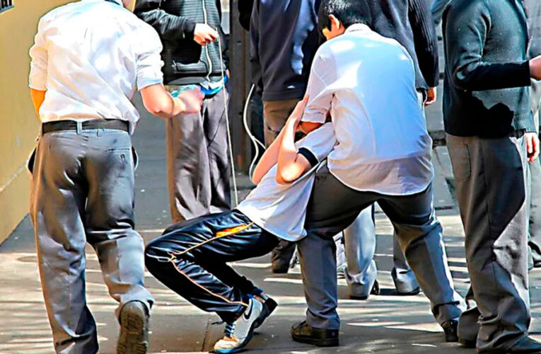 El portal Siseve del Minedu y la violencia escolar
