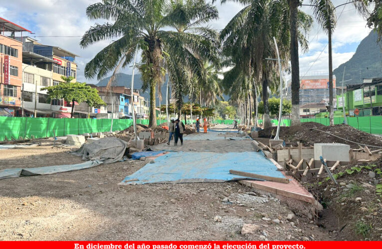 Aplican protocolo para proteger árboles en obra de la Alameda Perú