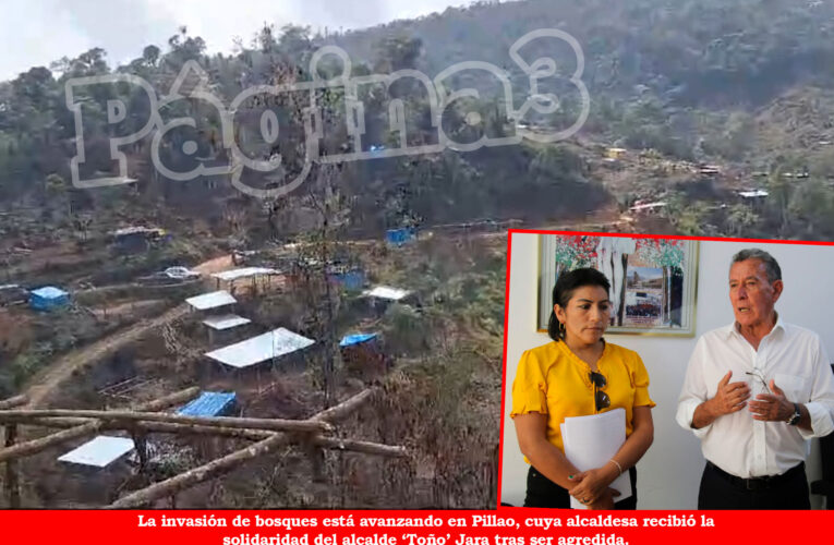 Pillao: más de 40 hectáreas de bosques habrían sido depredados por invasores