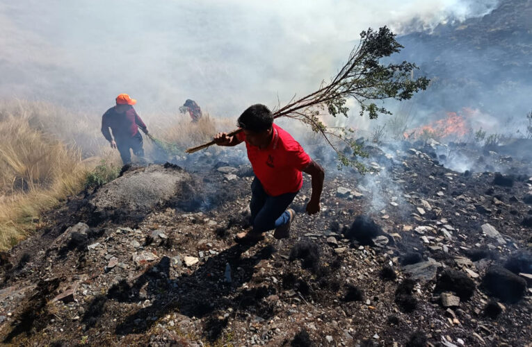 Más de 8 horas duró  incendio forestal en Cauri