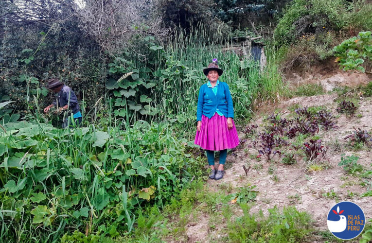 «La ola verde que impulsa el consumo sostenible: crecimiento global y local de los productos agroecológicos»