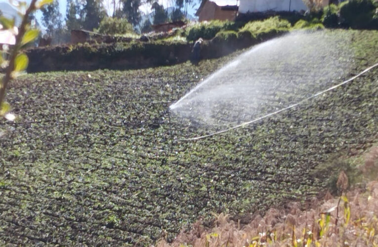 Retos y desafíos para el Gobierno Regional de Huánuco y las Municipalidades: hacia una gestión eficiente del agua y la agricultura sostenible