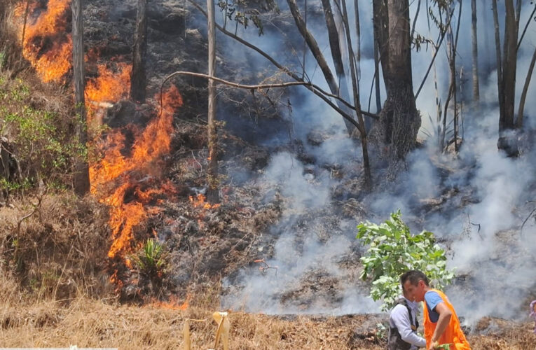 Gobierno declara en emergencia a Huánuco por incendios forestales