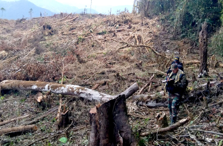 Policía y Fiscalía constatan deforestación de bosque en zona donde atacaron a alcaldesa y periodistas