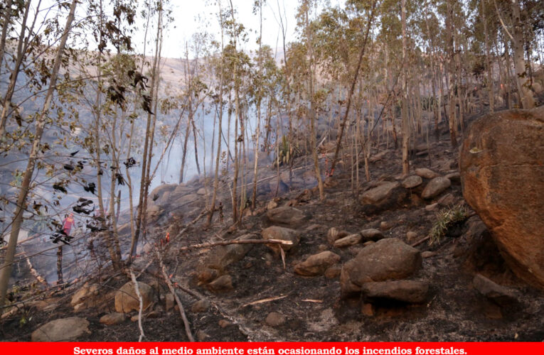 Piden declarar en emergencia a Huánuco por incendios forestales