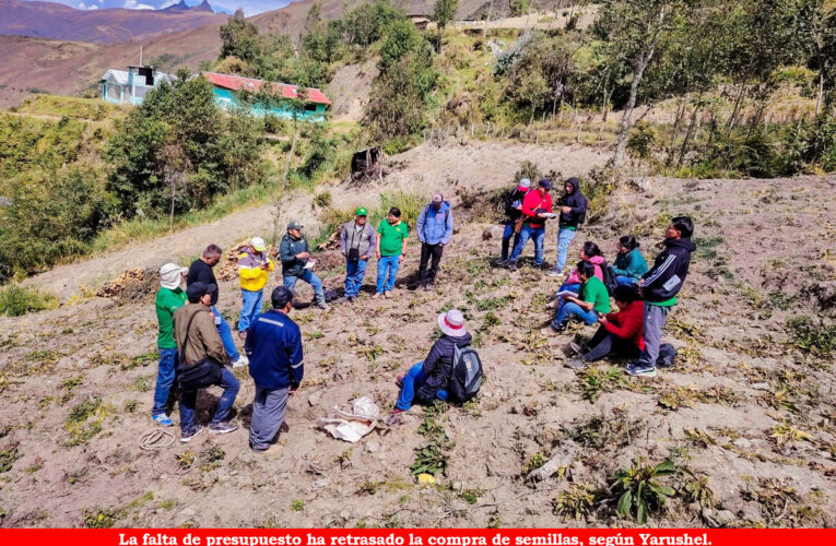 Empezó la campaña agrícola y el Gorehco aún no entrega las semillas del proyecto de  papa nativa a los productores