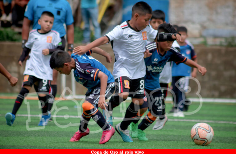 Copa de Oro en su recta final