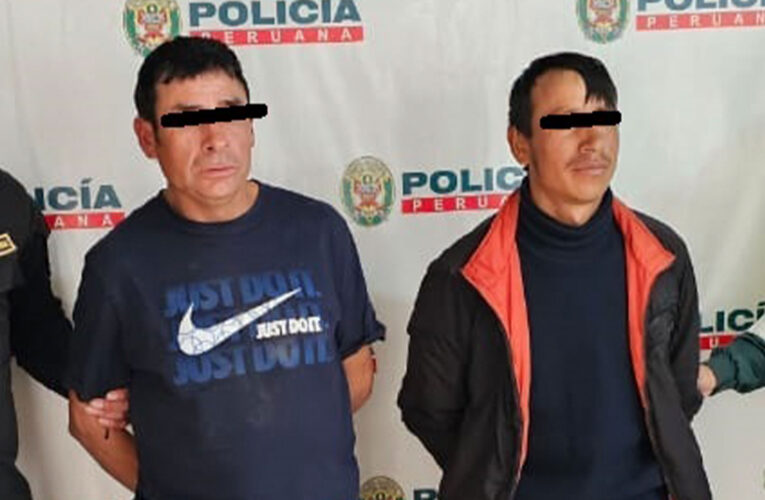 Dos investigados por hurtar pollos de camión en Huacaybamba