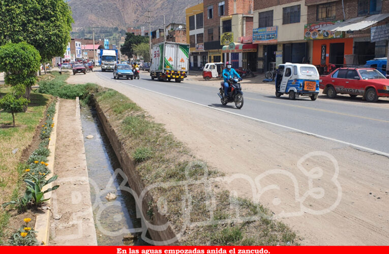 Advierten que zancudo del dengue se incrementará por las lluvias