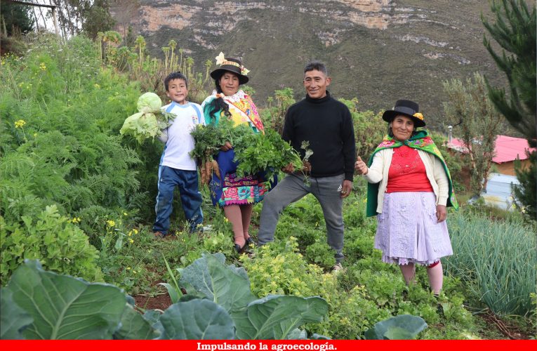 Construyendo un mundo solidario