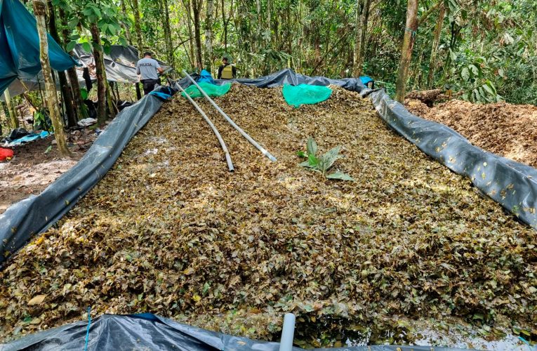 Incineran poza de maceración de droga