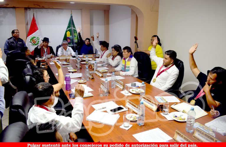 Consejo aprueba viaje de Pulgar a España y Brasil