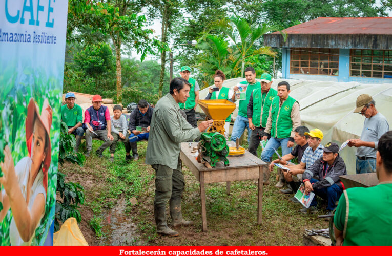 Instalarán dos parcelas de café para demostrar técnicas de TechnoServe