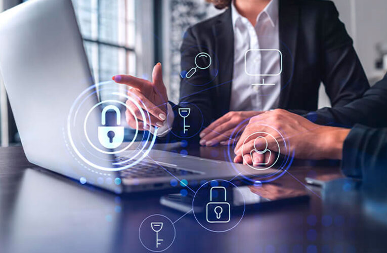 El control en el ámbito gubernamental y administrativo: la seguridad