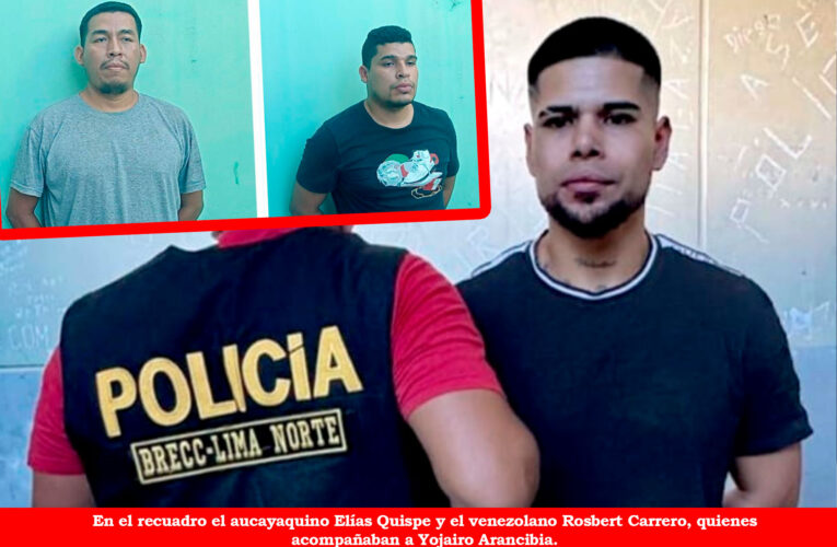 Lugarteniente de  «El Monstruo» se escondía en Aucayacu
